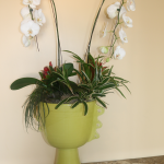 G25-Orchid-arranged-in-yellow-pot